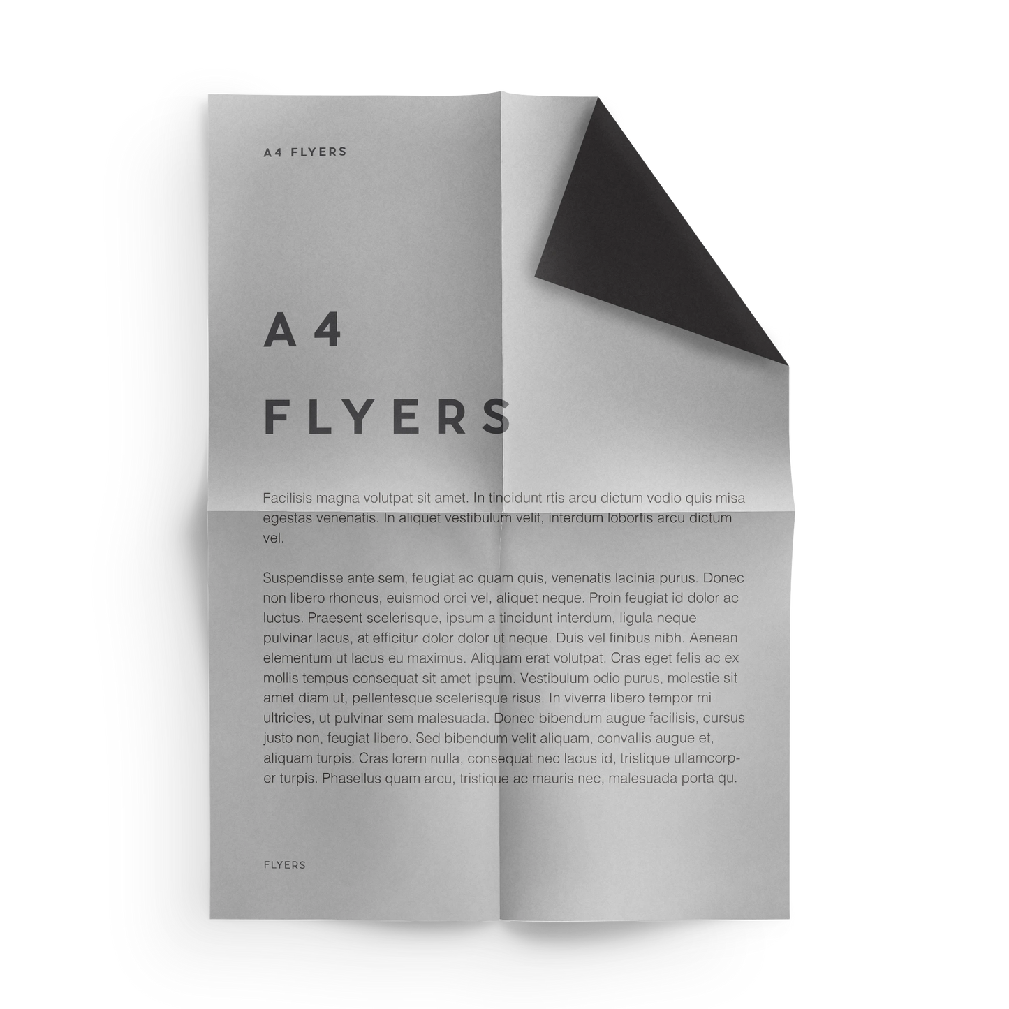 Flyers (2 Sided, Offset)